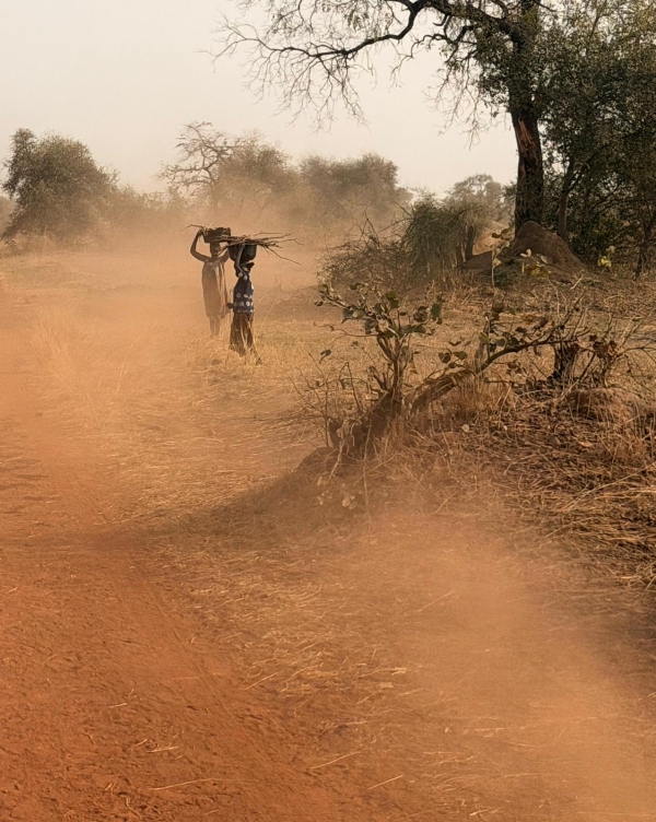 Bébédjia, a 22 de febrero de 2026. Rumbo al sur